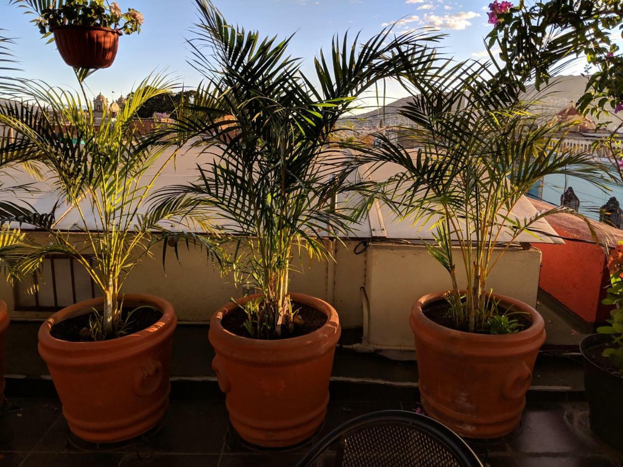 Hostal De Las Americas Oaxaca ภายนอก รูปภาพ